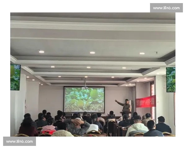 体育平台手机版全新升级体验助力用户轻松掌握赛事资讯与运动数据